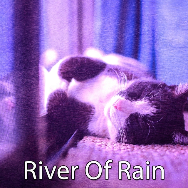 Couverture de River Of Rain