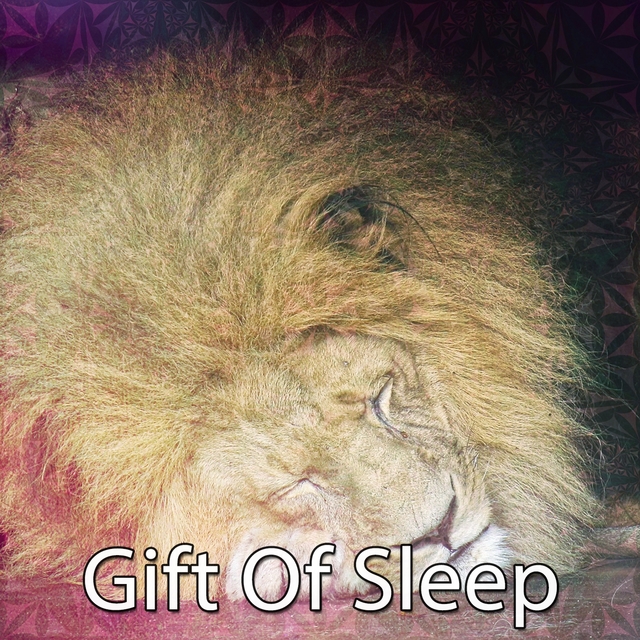 Couverture de Gift Of Sleep