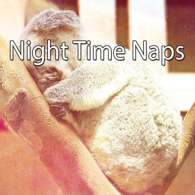 Couverture de Night Time Naps