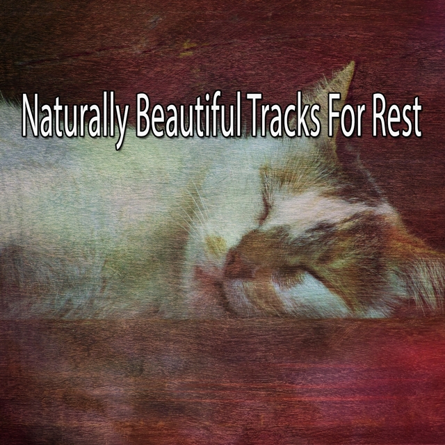 Naturally Beautiful Tracks For Rest