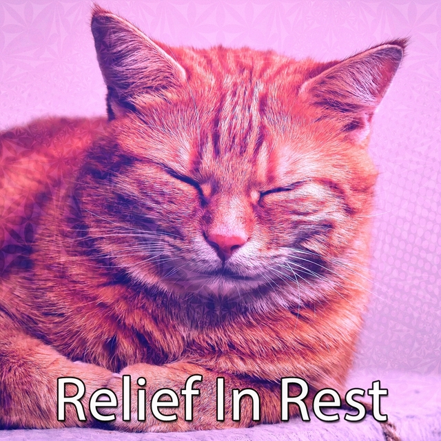 Couverture de Relief In Rest