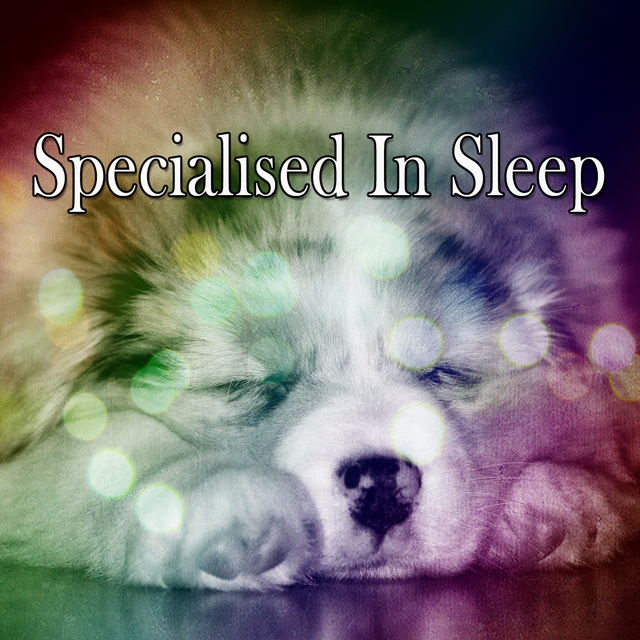 Specialised In Sleep