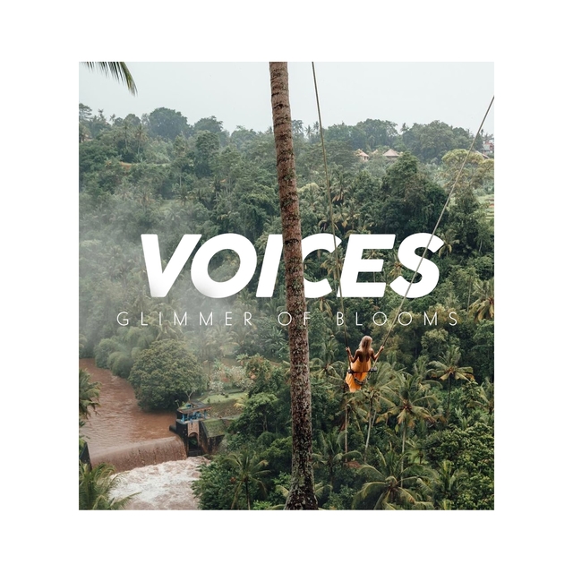 Couverture de Voices