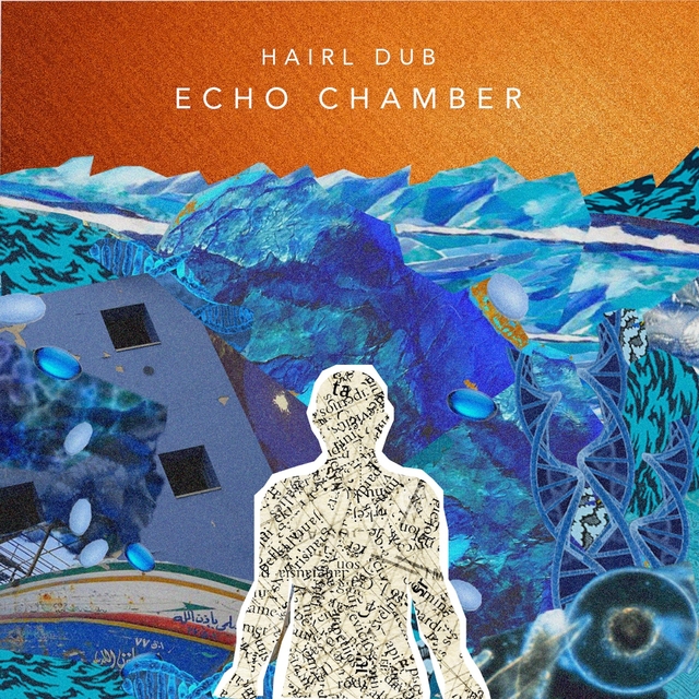 Couverture de Echo Chamber