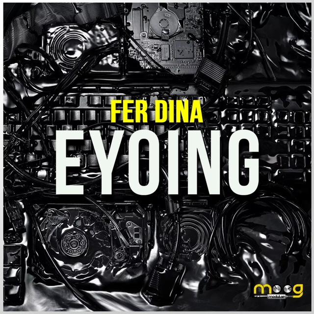 Couverture de Eyoing