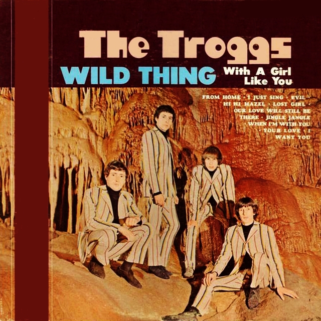 Couverture de Wild Thing