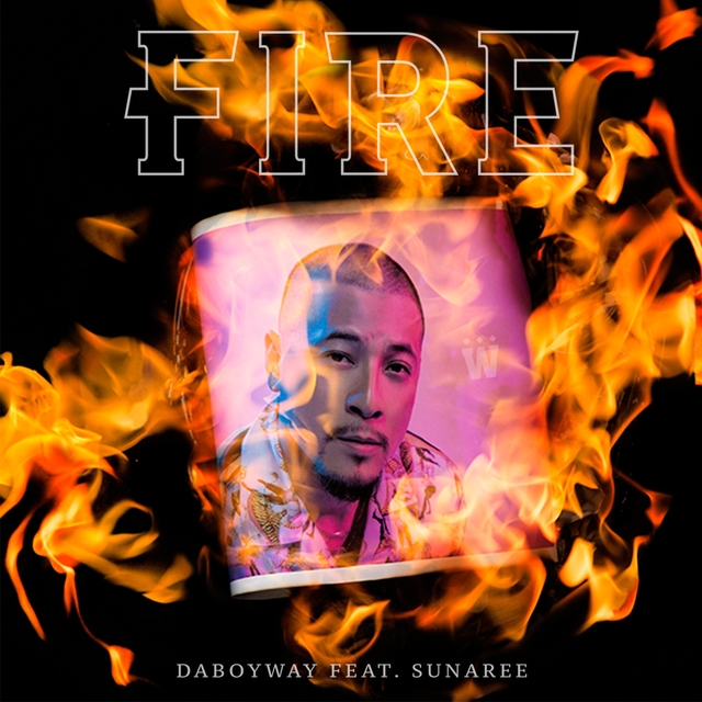 Couverture de Fire