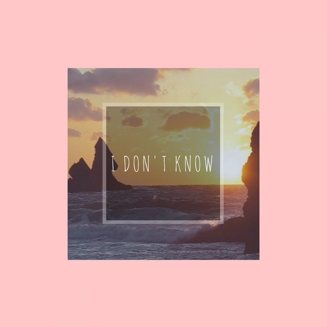 Couverture de I Don't Know