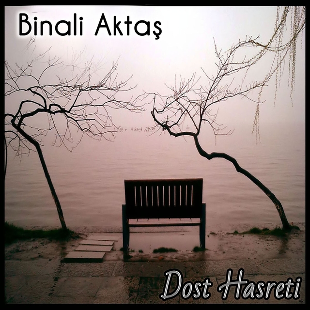 Dost Hasreti