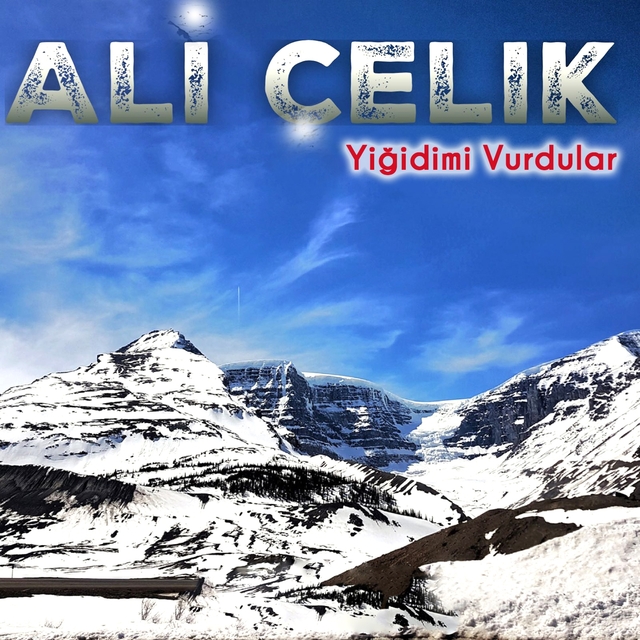 Yiğidimi Vurdular