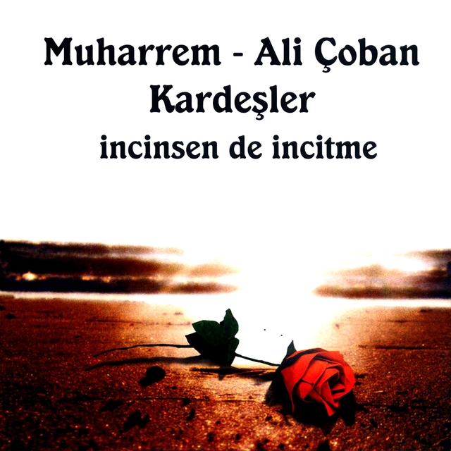 Couverture de İncinsen de İncitme