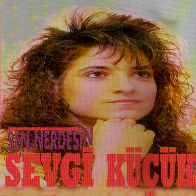 Sen Nerdesin