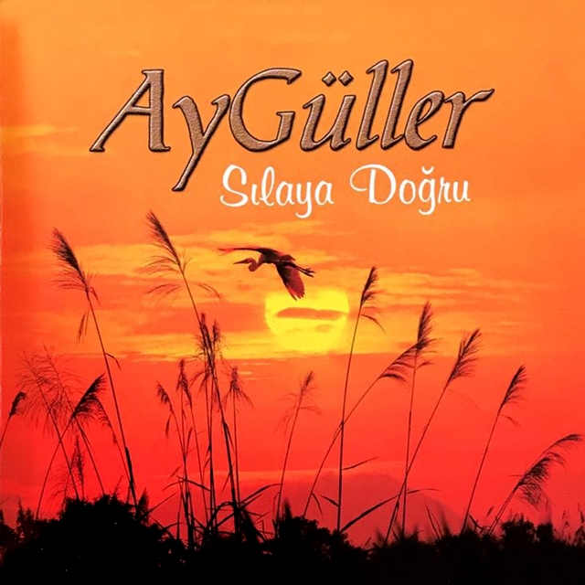 Couverture de Sılaya Doğru