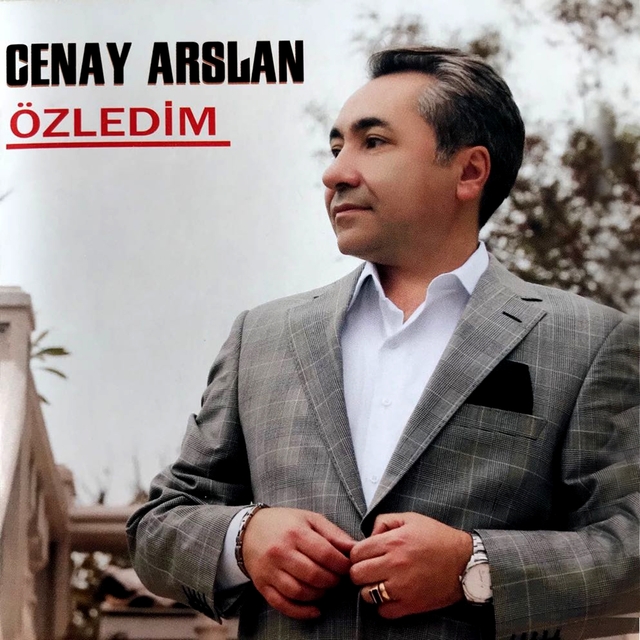 Couverture de Özledim