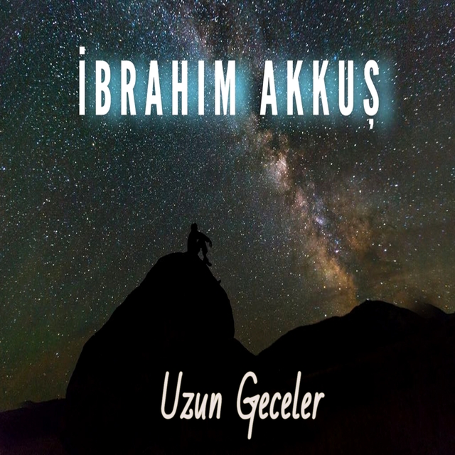 Couverture de Uzun Geceler