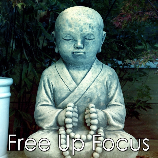 Couverture de Free Up Focus