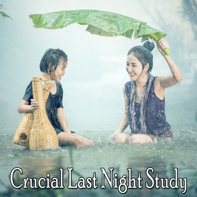 Couverture de Crucial Last Night Study