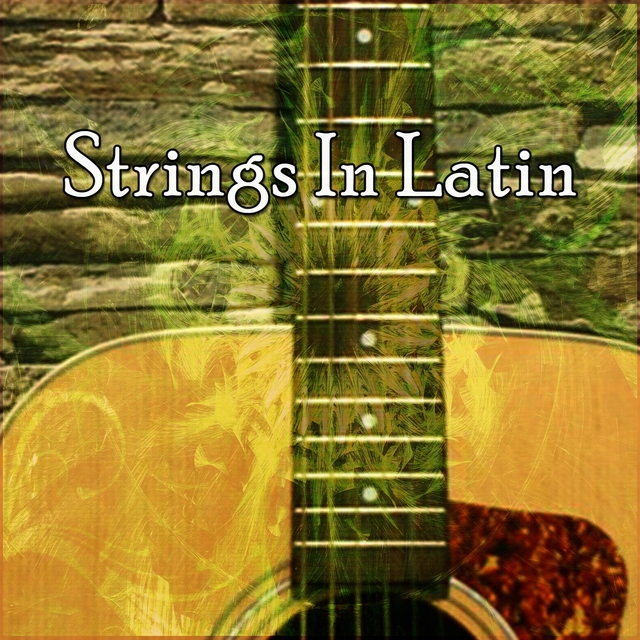 Couverture de Strings In Latin