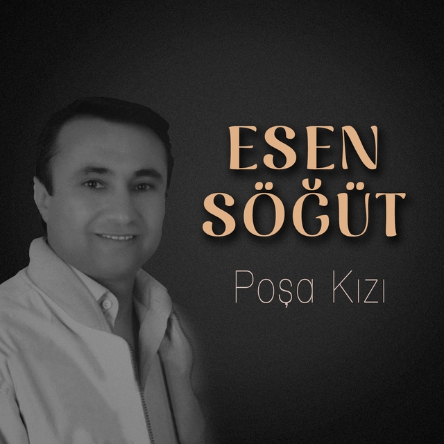 Couverture de Poşa Kızı