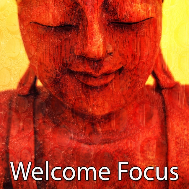 Couverture de Welcome Focus
