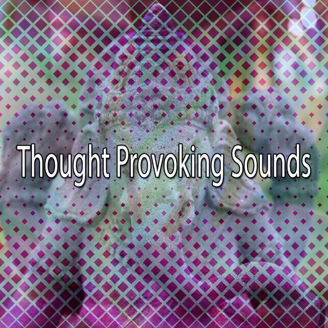 Couverture de Thought Provoking Sounds