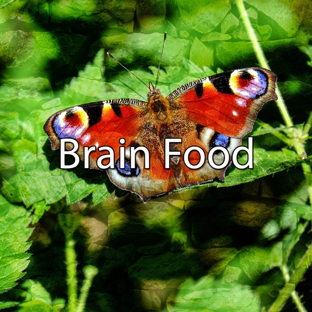 Couverture de Brain Food