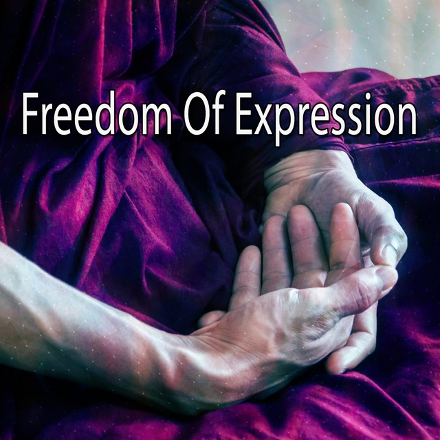 Couverture de Freedom Of Expression