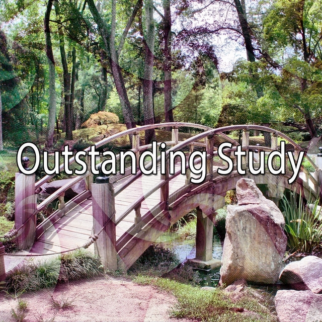 Couverture de Outstanding Study