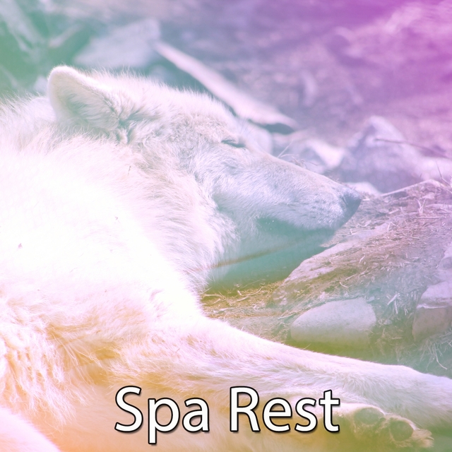 Spa Rest