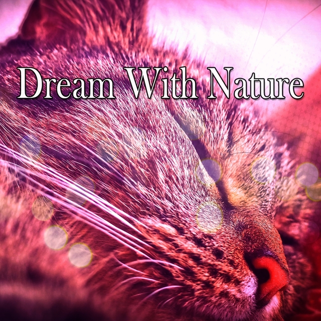 Couverture de Dream With Nature