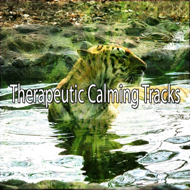 Therapeutic Calming Tracks
