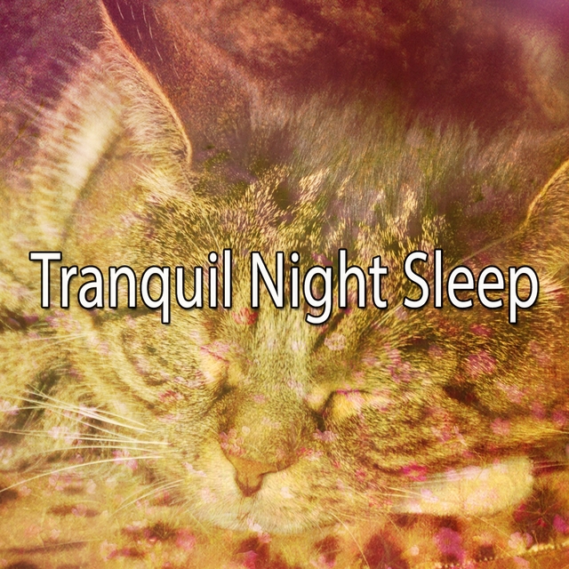 Tranquil Night Sleep