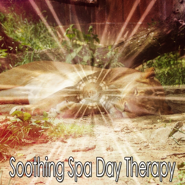 Couverture de Soothing Spa Day Therapy