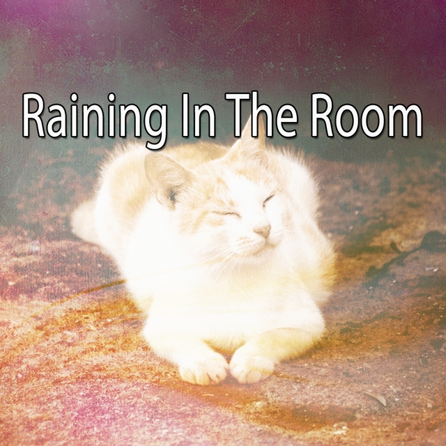 Couverture de Raining In The Room