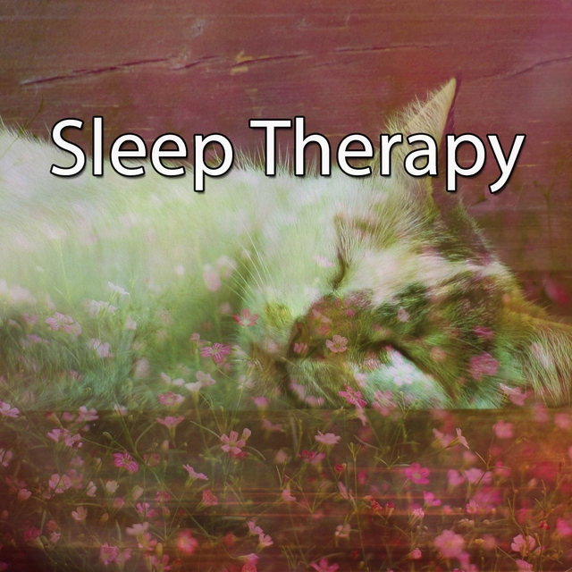 Couverture de Sleep Therapy
