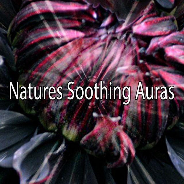 Natures Soothing Auras