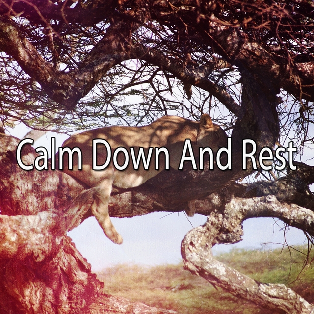 Calm Down And Rest