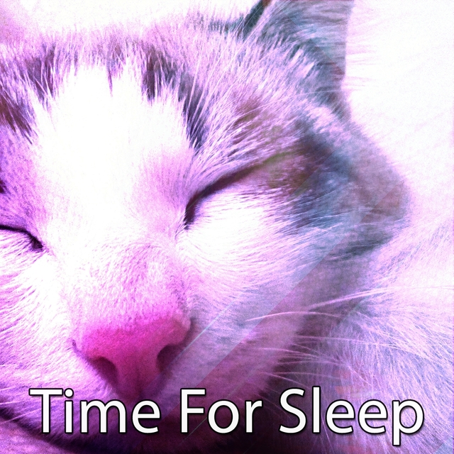 Time For Sleep