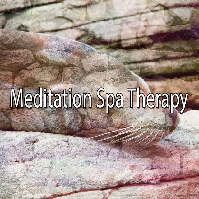 Meditation Spa Therapy