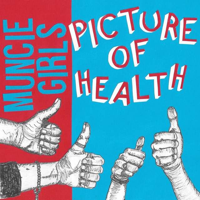 Couverture de Picture of Health