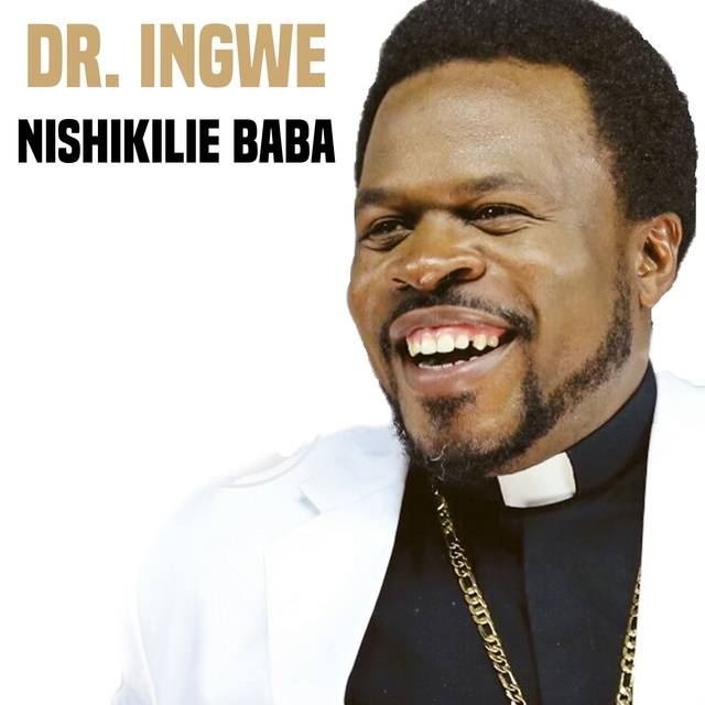 Couverture de Nishikilie Baba