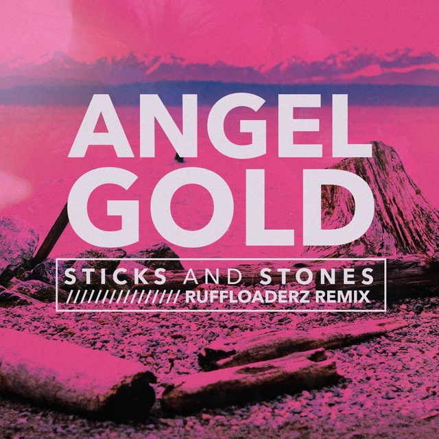 Couverture de Sticks and Stones