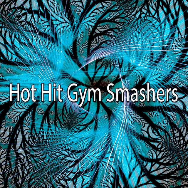 Hot Hit Gym Smashers