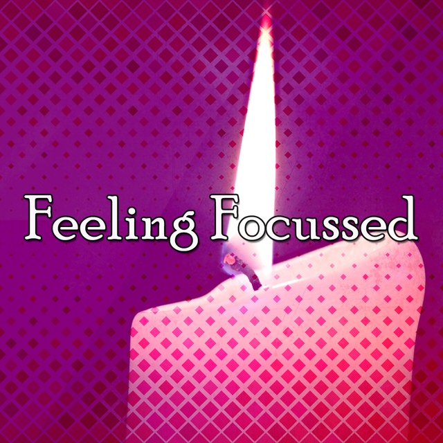 Couverture de Feeling Focussed