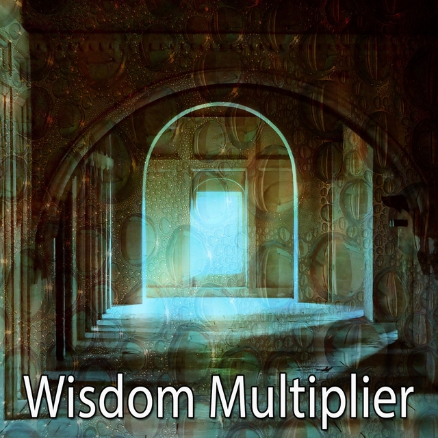 Couverture de Wisdom Multiplier