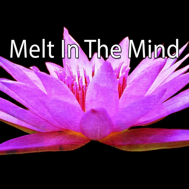 Melt In The Mind
