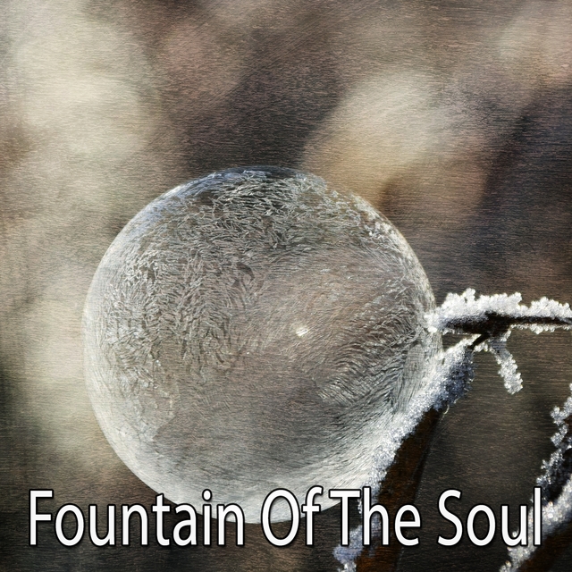 Couverture de Fountain Of The Soul