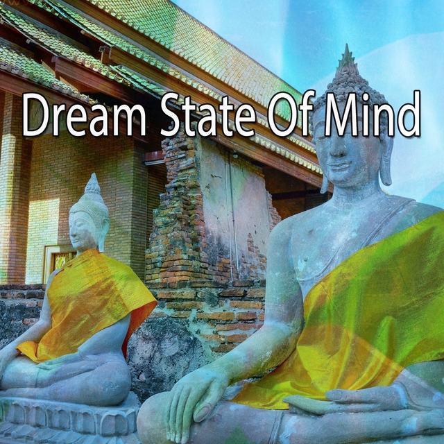 Couverture de Dream State Of Mind