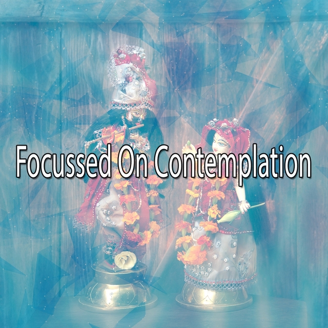 Couverture de Focussed On Contemplation