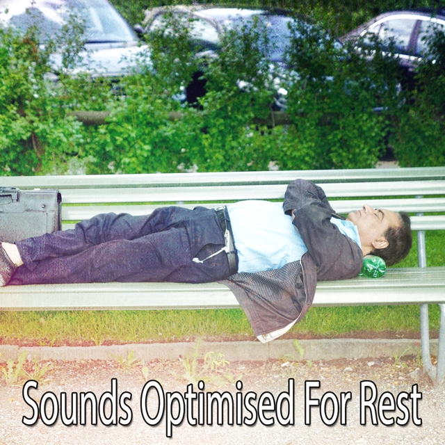 Couverture de Sounds Optimised For Rest